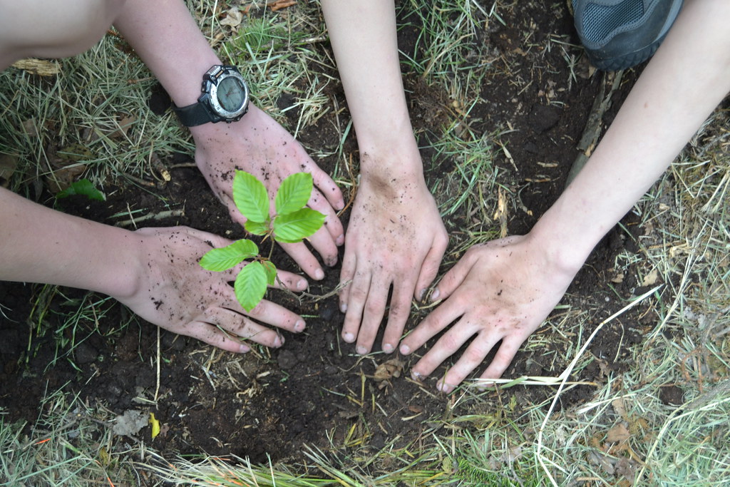 World Environment Day